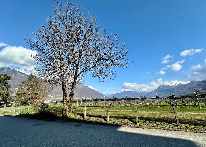 Relax&comfort In Near Locarno Appartamento *