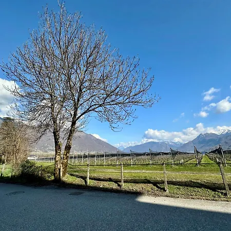 Relax & Comfort In Near Locarno דירה *